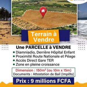 OPPORTUNITÉ EXCEPTIONNELLE TERRAIN DIAMNIADIO !